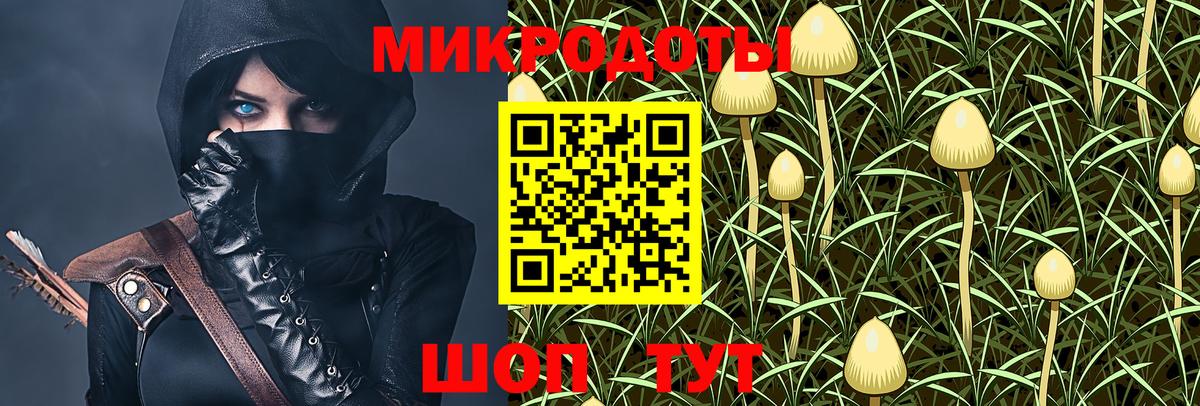 Псилоцибиновые грибы Magic Shrooms Октябрьский