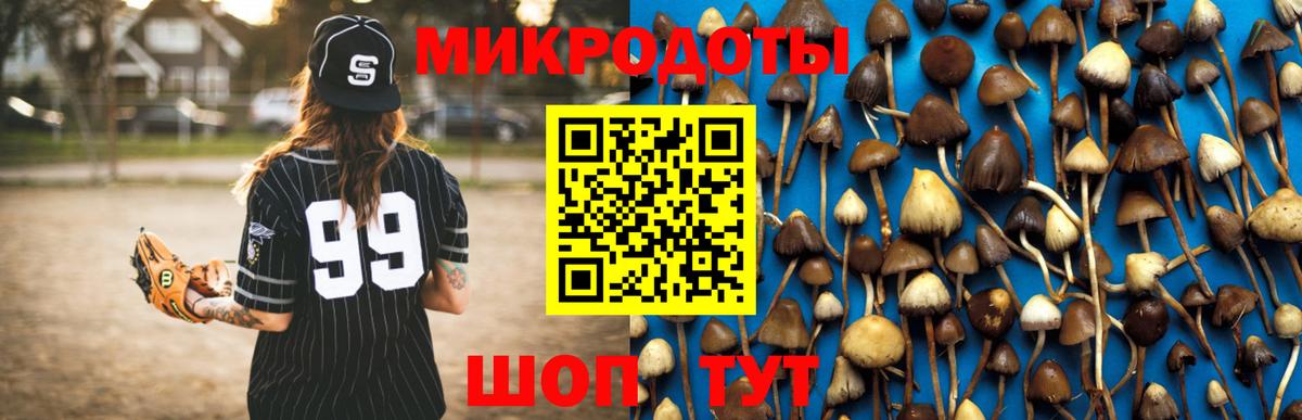Октябрьский  Галлюциногенные грибы MAGIC MUSHROOMS  Вход с VPN  Псилоцибиновые грибы GOLDEN TEACHER 
